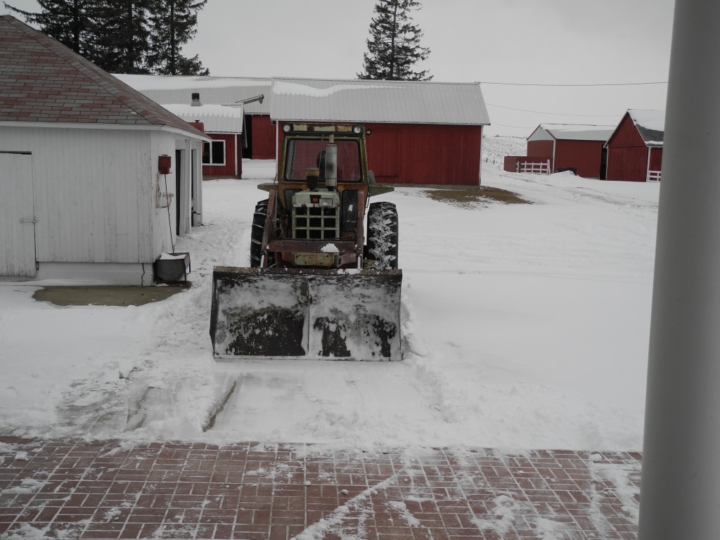 Daryl scooping snow in the yard