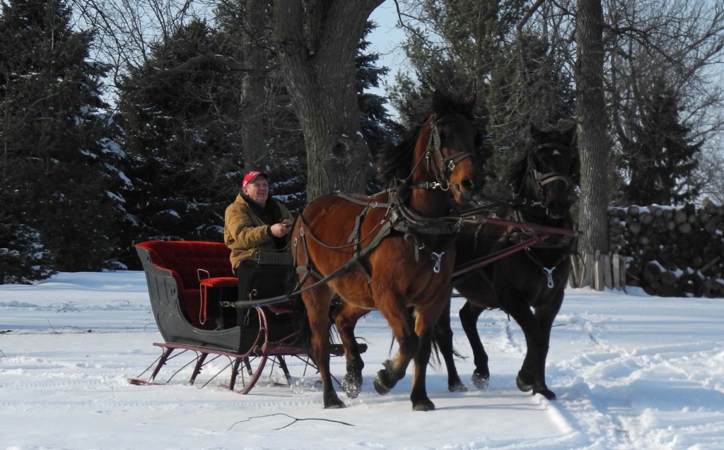 Taking the sleigh out to make sure everything was hooked up right before the ride.