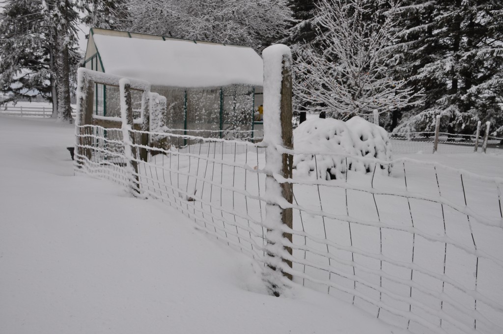 It looks like it'll be awhile until I can get into the greenhouse