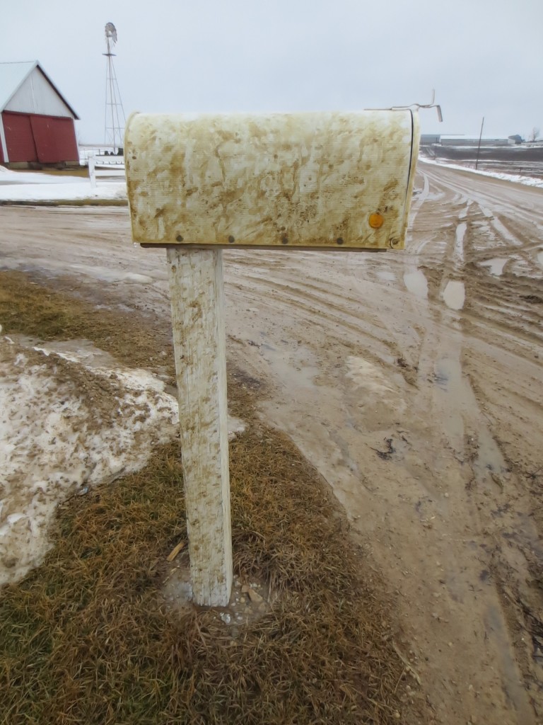 It looks like the mailbox will have to get painted again this year