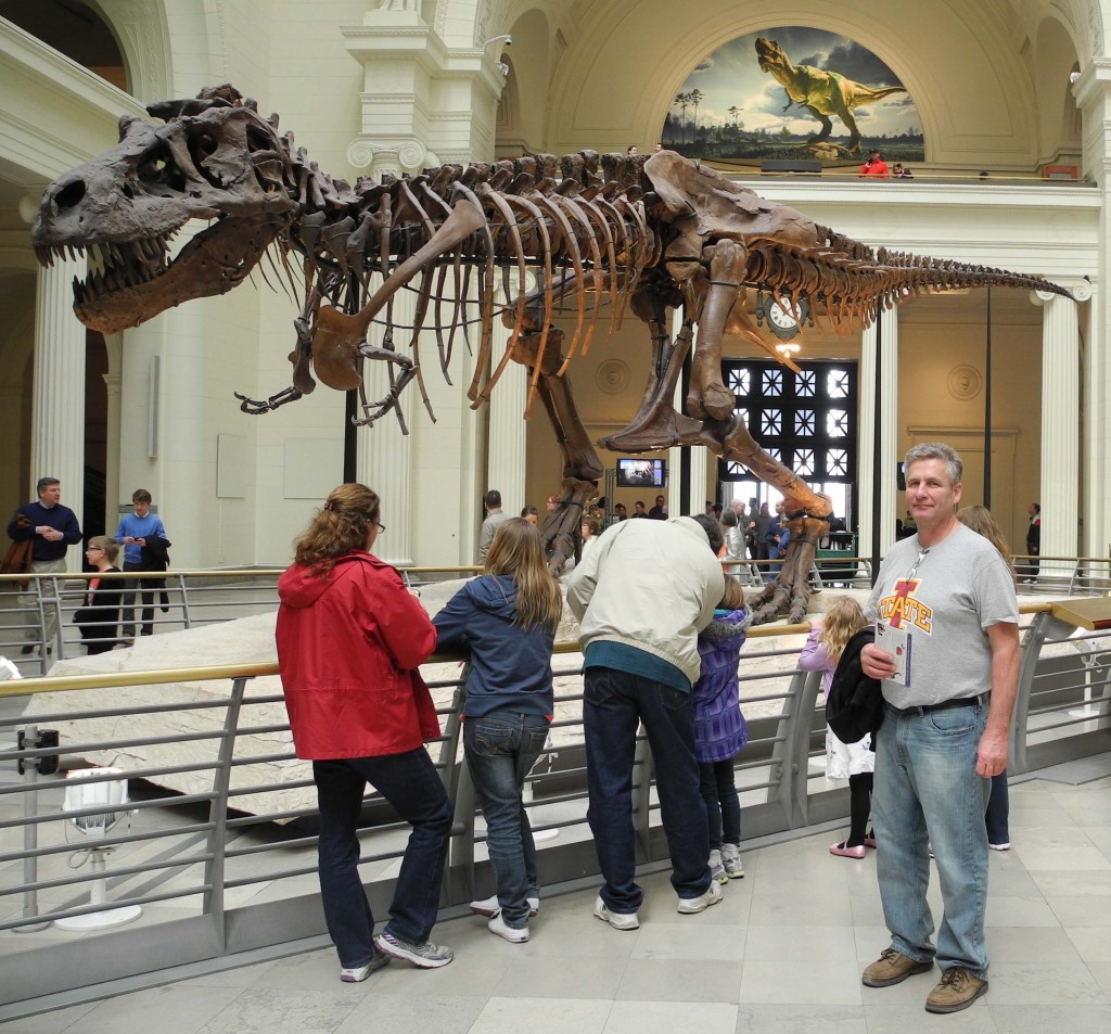 The largest T.rex ever found