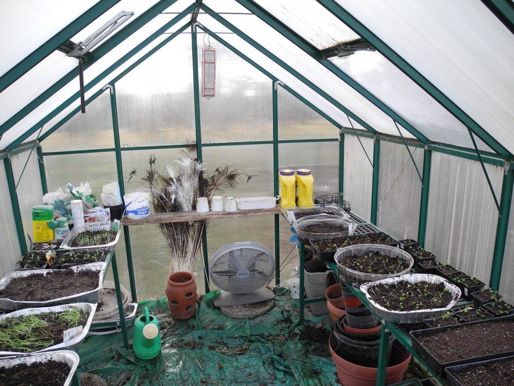 Inside the greenhouse