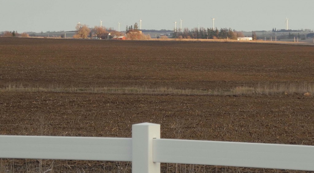 From our farm you can see the new wind turbine farms