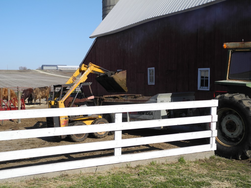 Daryl cleaning out the yard