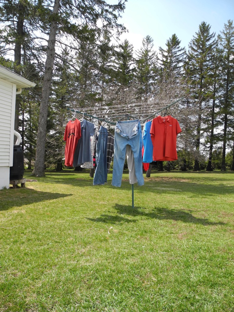 First laundry of the spring outside