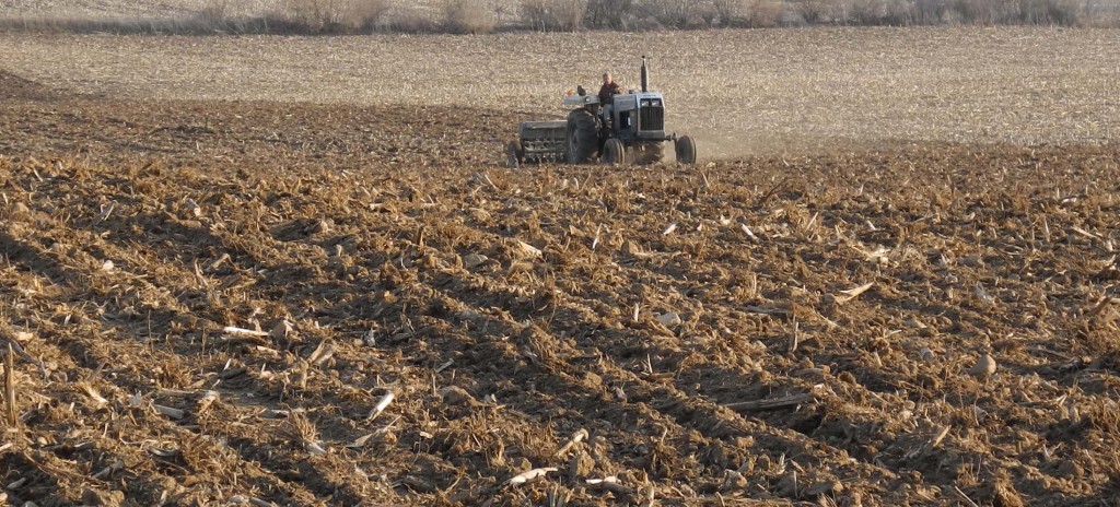 Daryl using the drill to seed oats