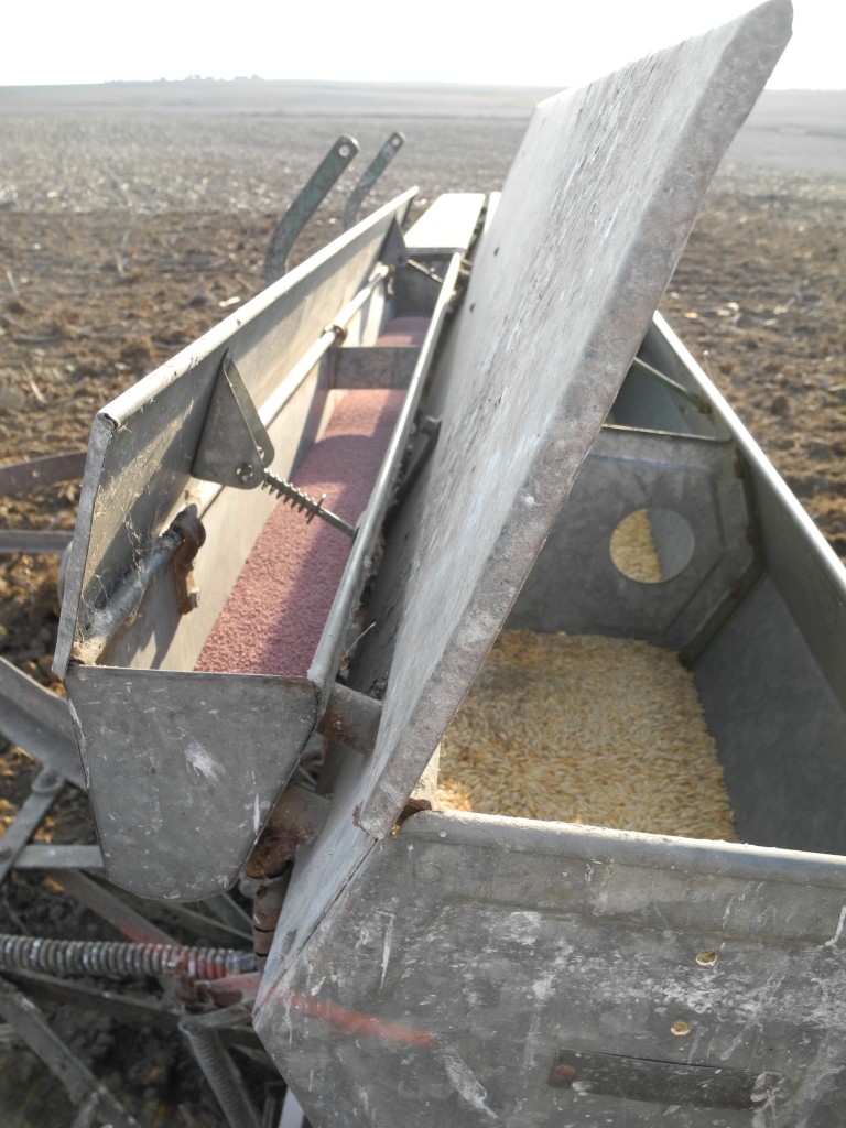 One bin was for alfalfa and the other was for the oats