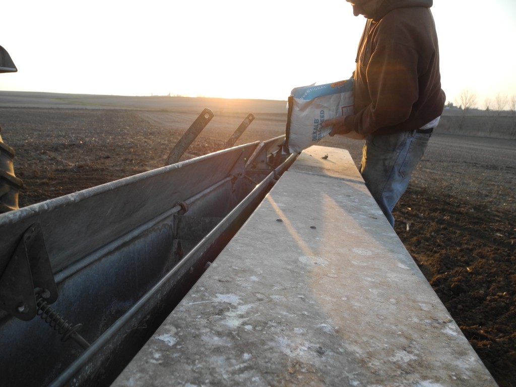 Working on filling up the drill. Daryl is working with the alfalfa seed in this picture