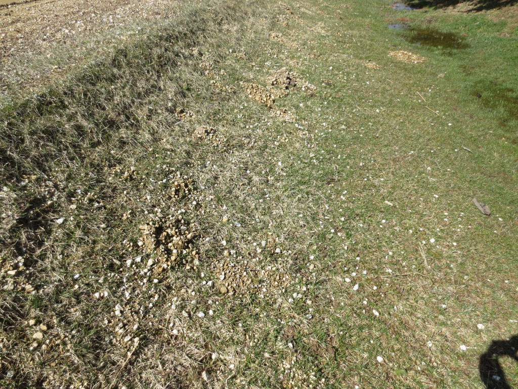 There are a LOT of rocks in both of ditches that will need to be cleaned out.