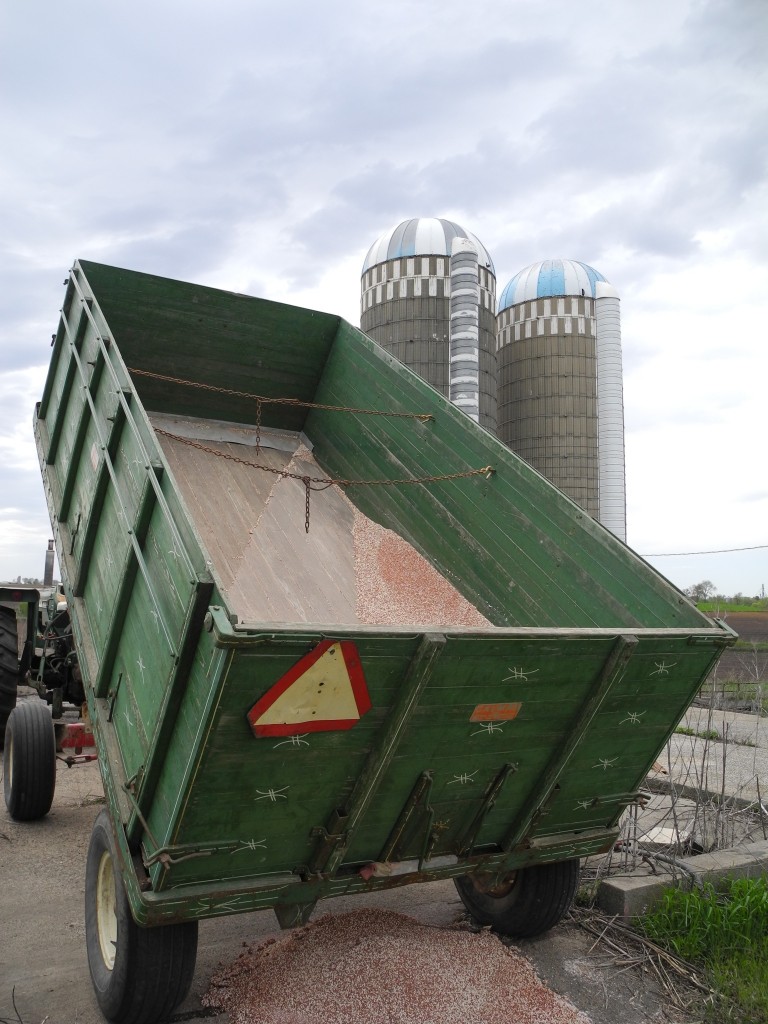 Bulk fertilizer