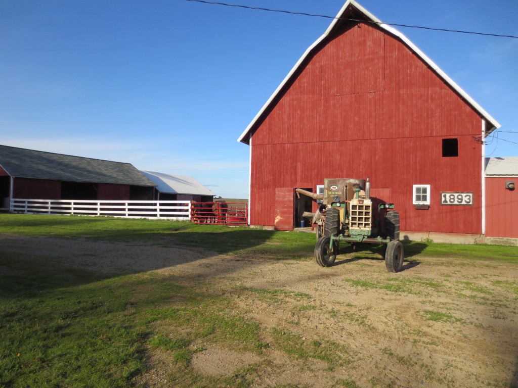 Happy cows with the mill fixed.