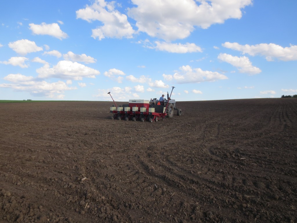 Finishing the beans tonight