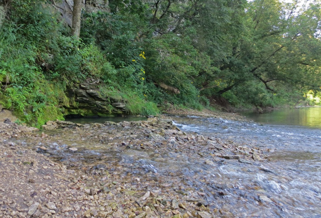 There are so many springs that feed this river.