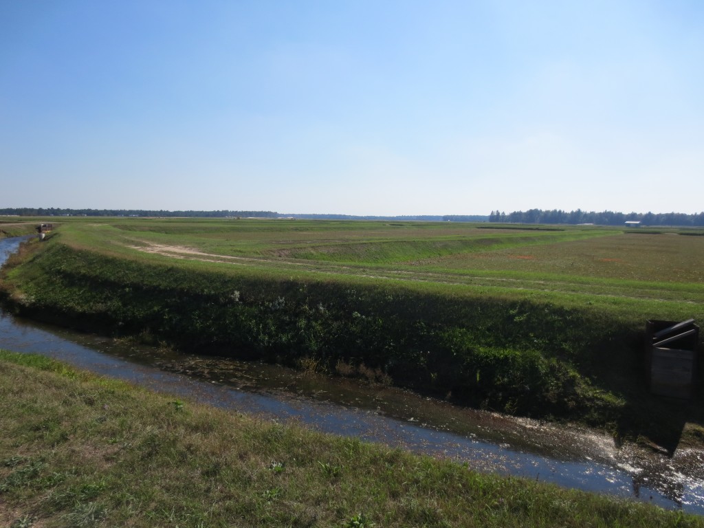 Miles and miles of cranberry fields