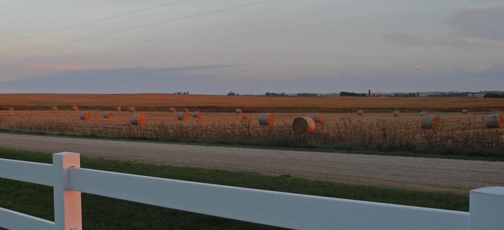 Hay bales