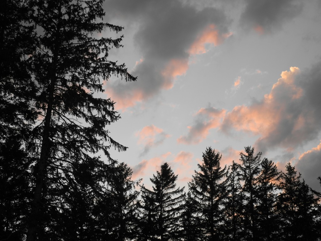 The clouds behind our house tonight