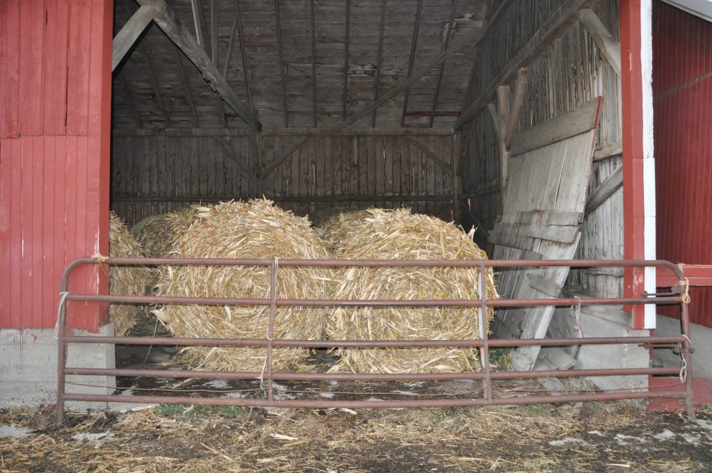 Corn stalk bales tucked away for the winter months