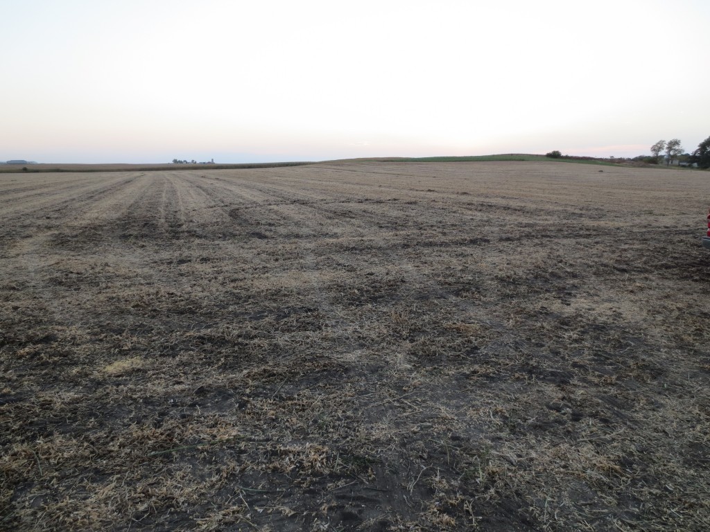 Combined bean field