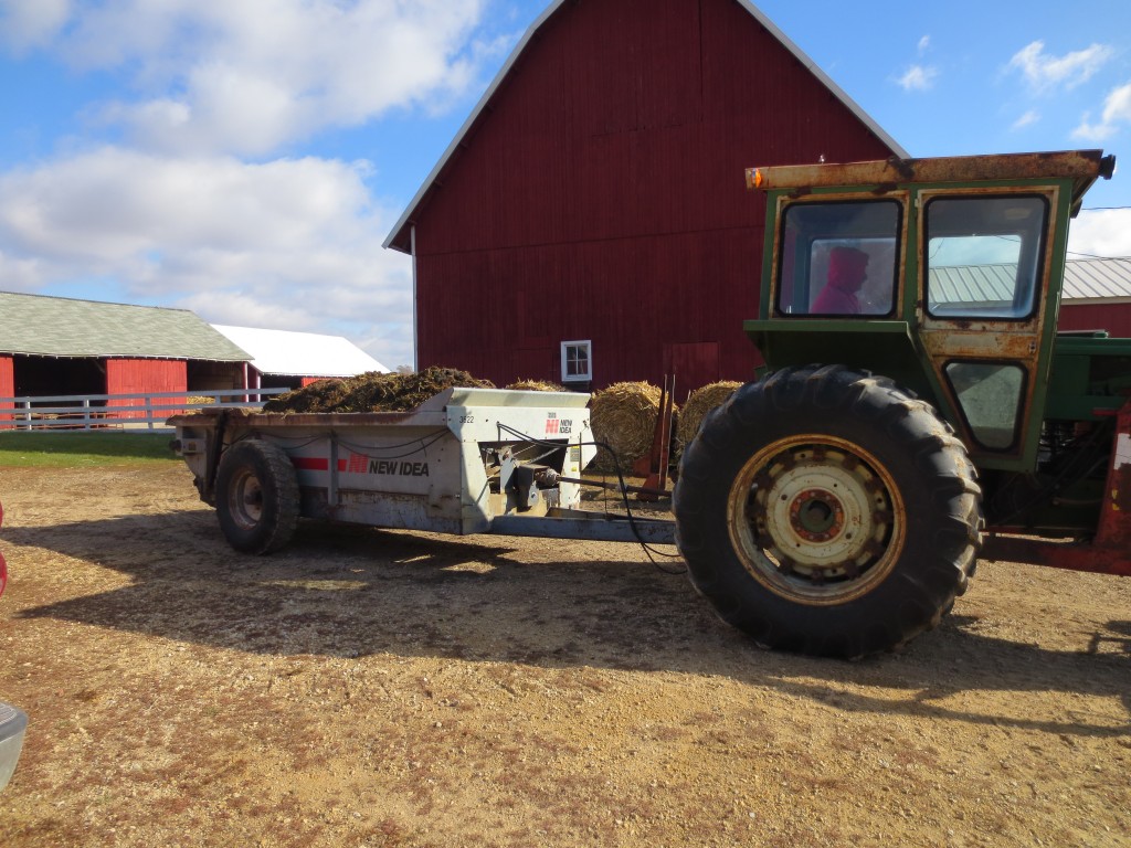 Cleaning out the shed for the winter