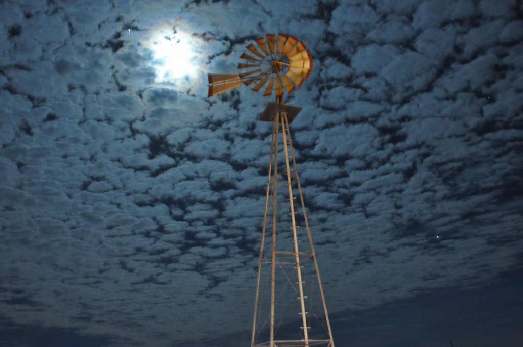 It was a very bright moon tonight on our farm