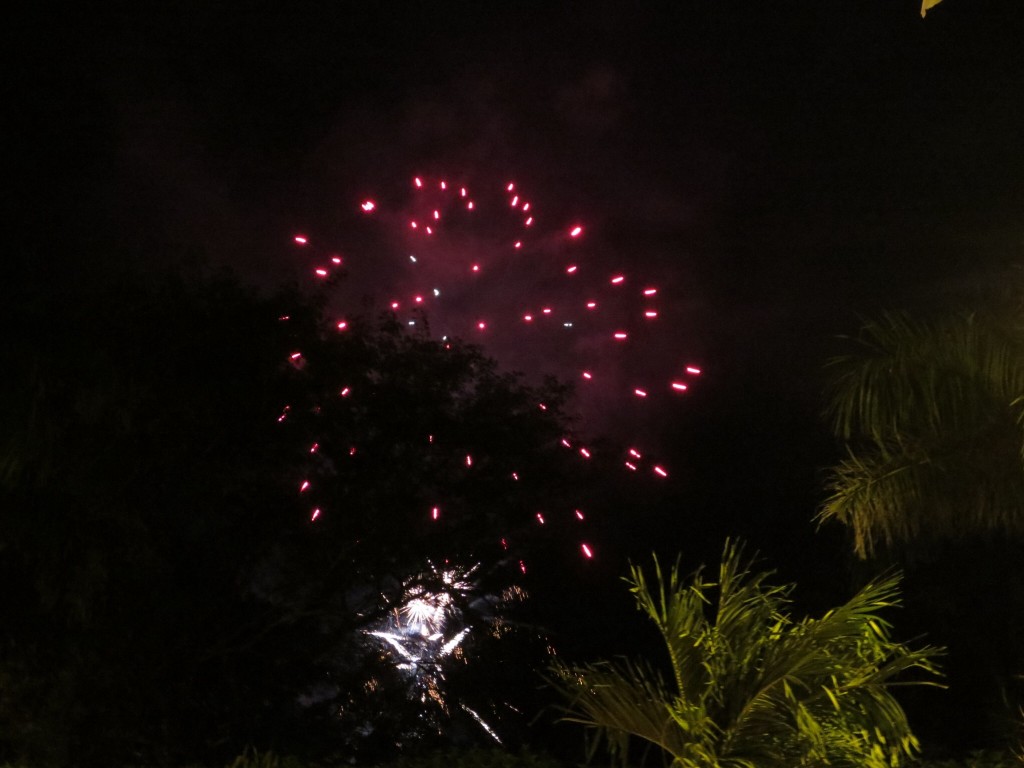 Fireworks lit up the sky