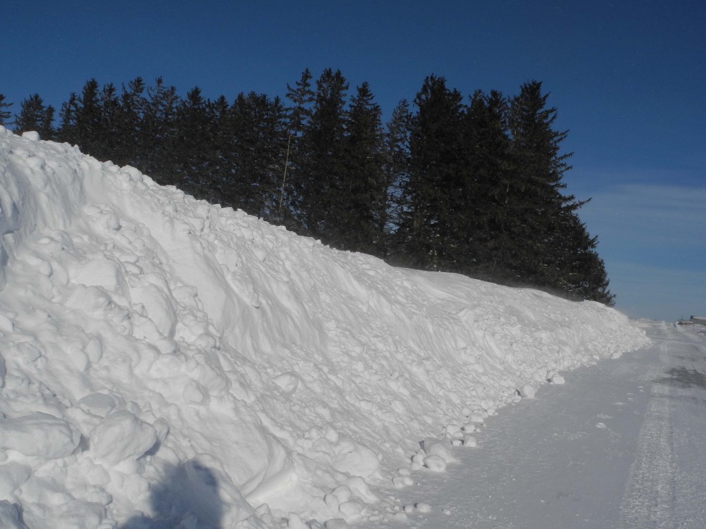Snow banks on the side of our roads. 