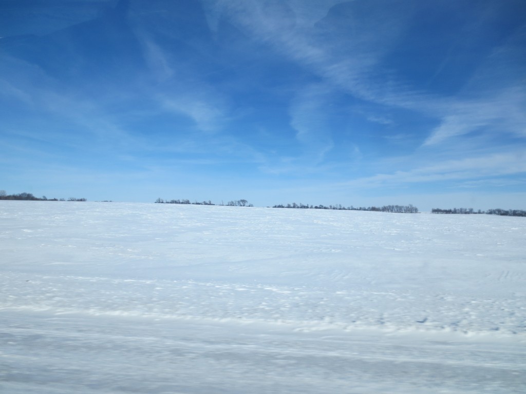 All you see is snow and more snow around our farm