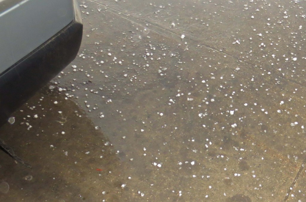 A quick shot of the hail today. Some of the yards were white from it