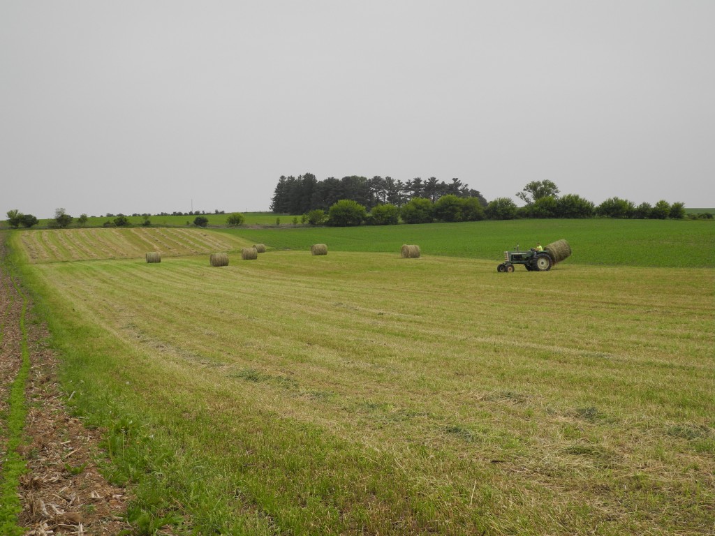 William moving the round bales of hay to the shed