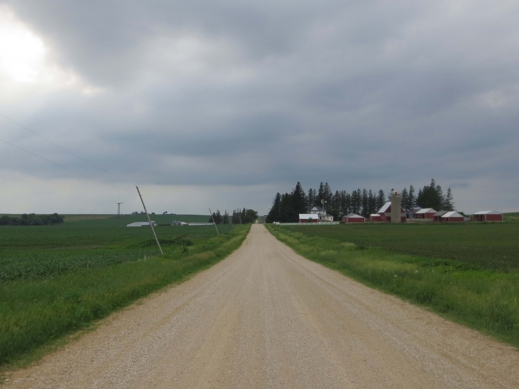 The crooked poles are on the left side of the road