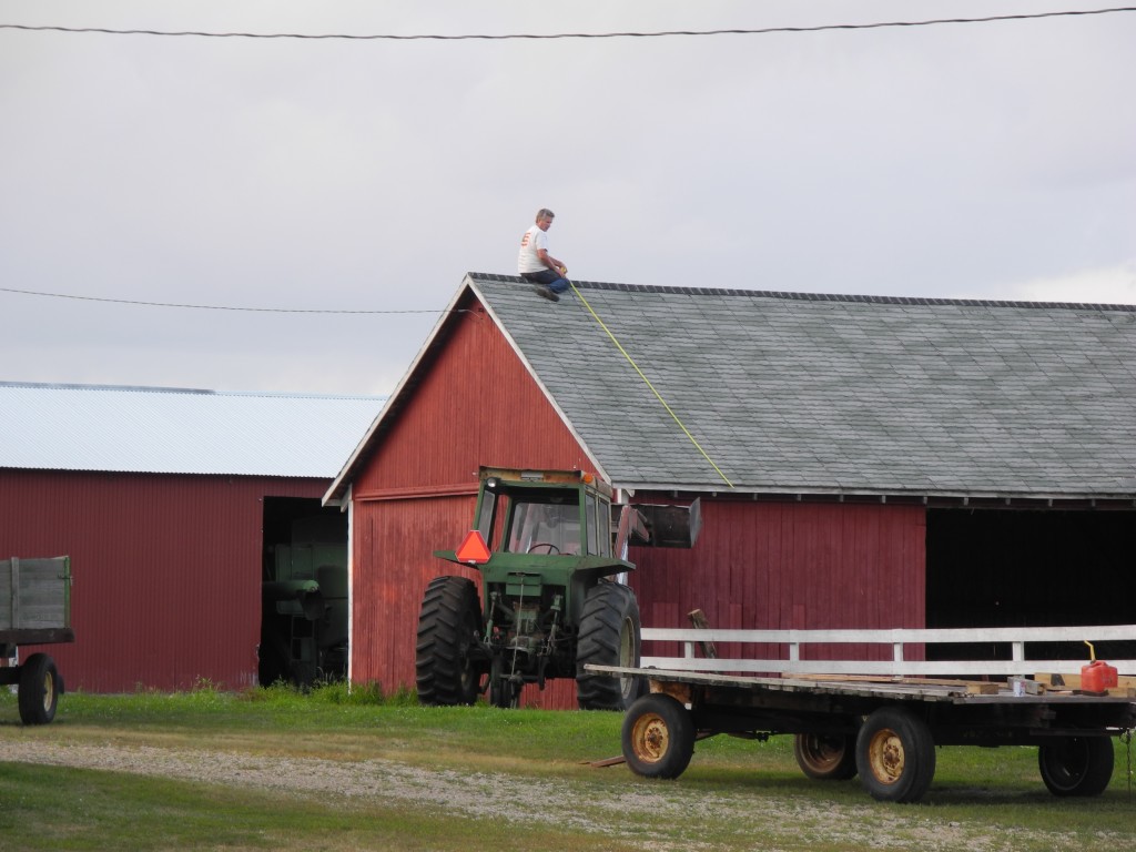 Daryl measuring the cattle shed roof for tin