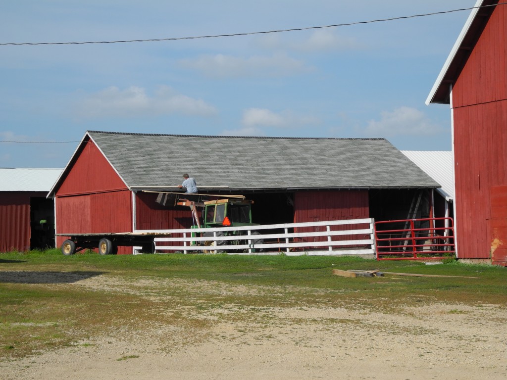 Daryl just starting the cattle shed roof