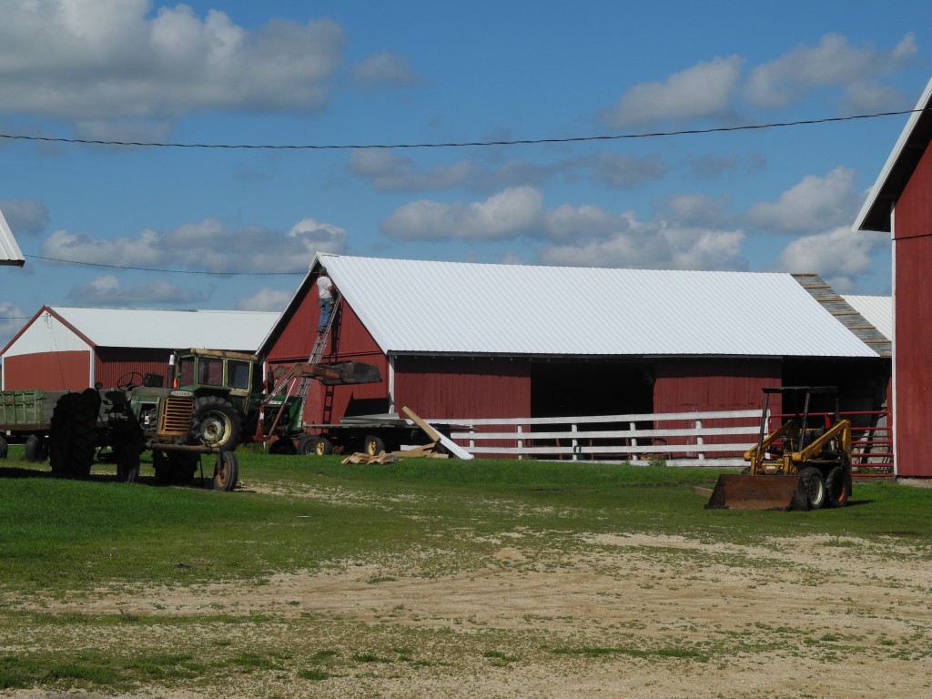 Work continues on the cattle shed