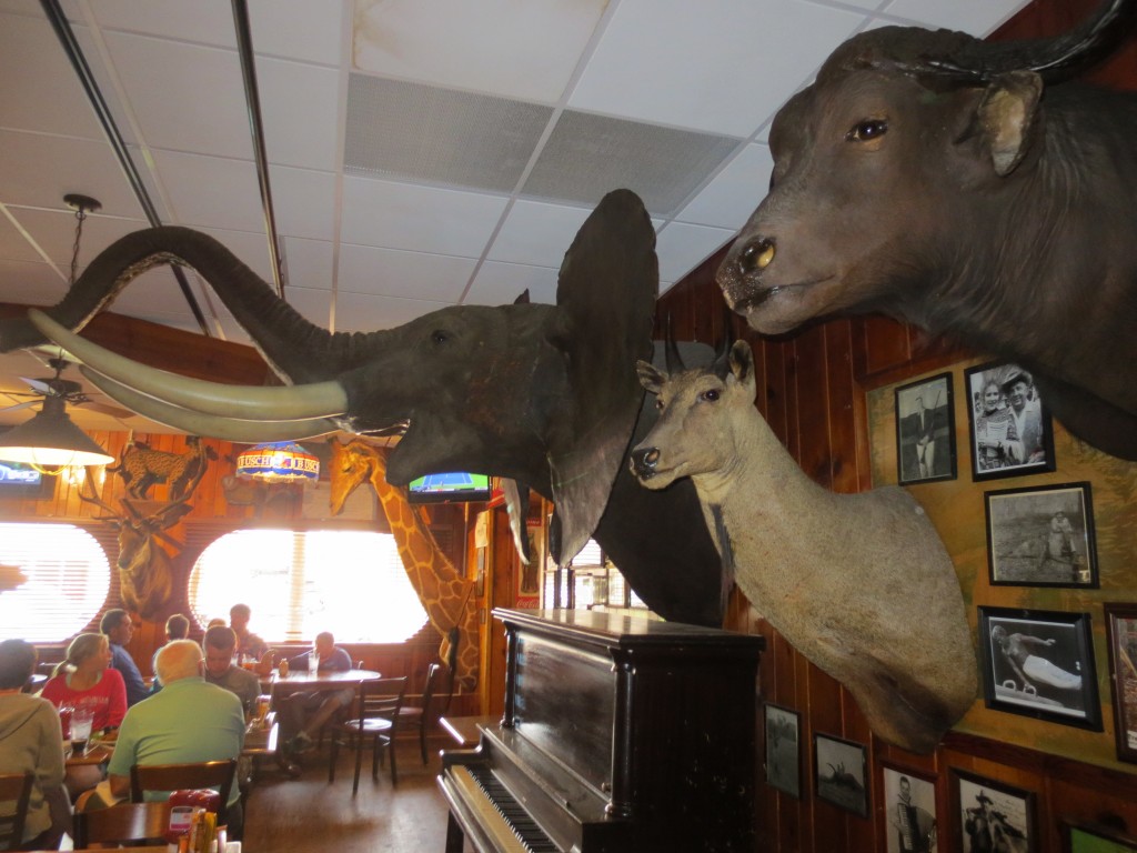 Inside Ole's Steakhouse. This is just a small part of what was in there