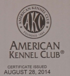 Kaiser's certification finally came! 