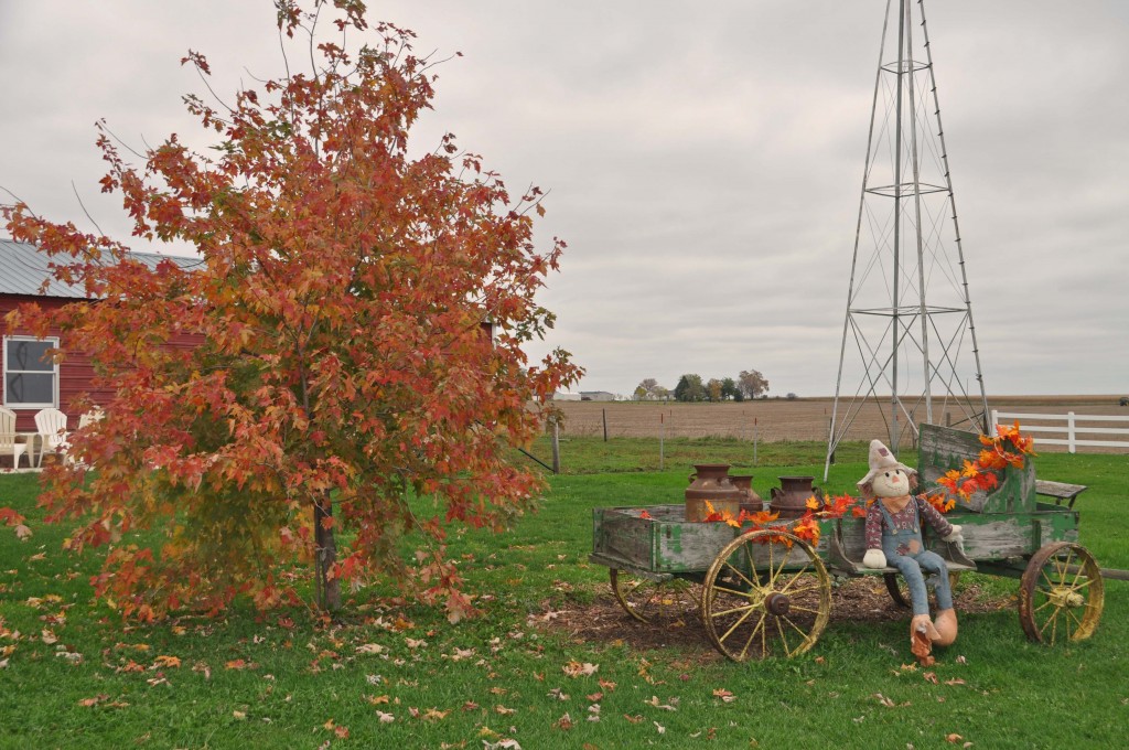 Daryl's parents tree