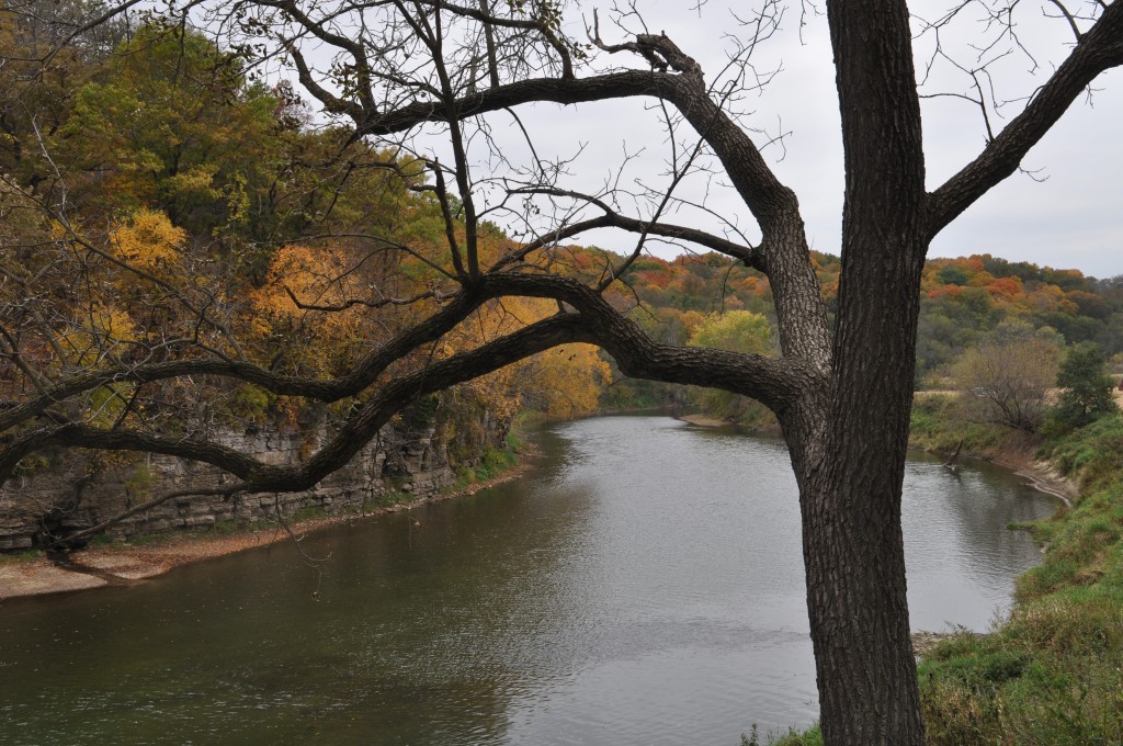 I like this picture, so I added it to show the water and the tree colors