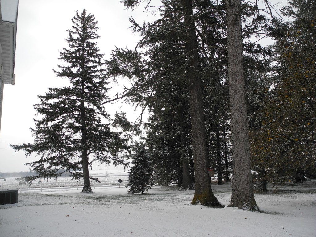 First good snowfall of the year