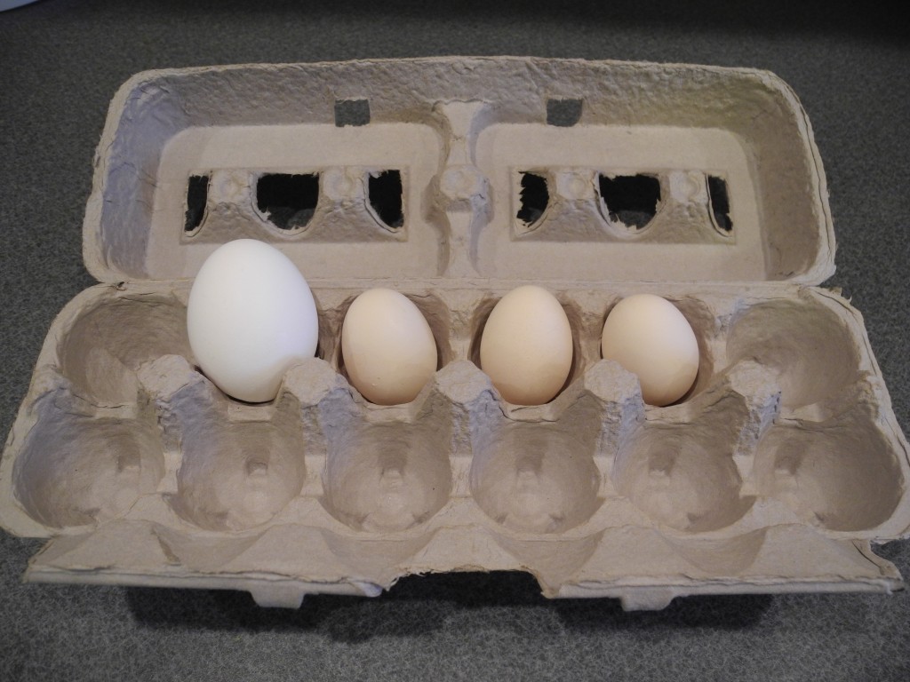 The one on the left is a store egg and the three on the right are from the little girls 