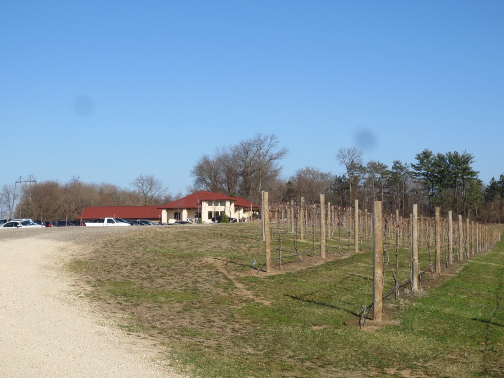 Elmaro Vineyard