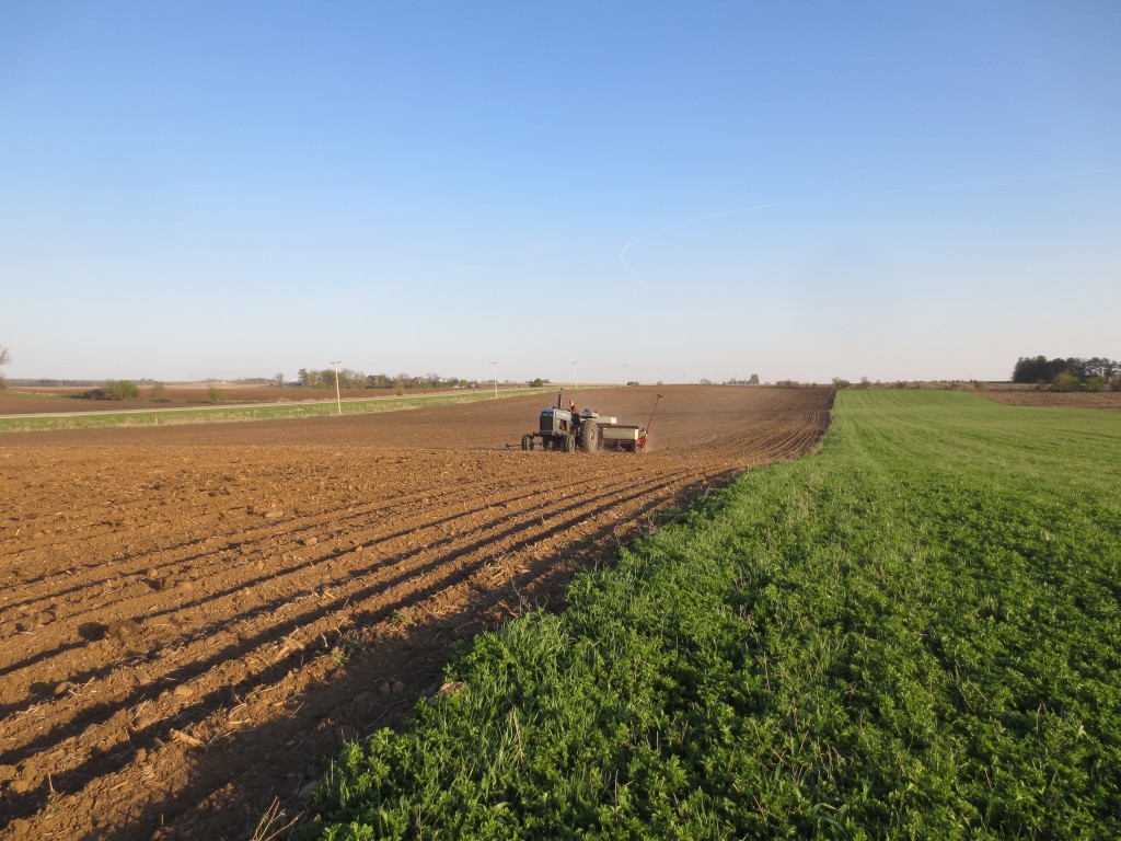 Daryl planting corn tonight