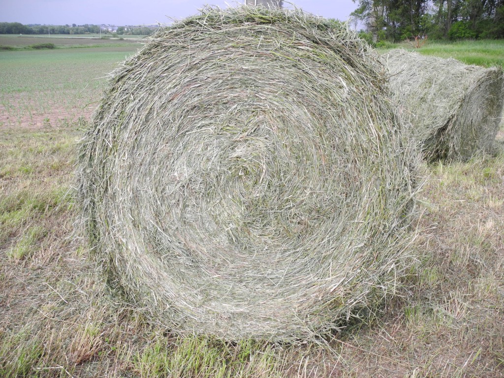 Close up of the hay bale