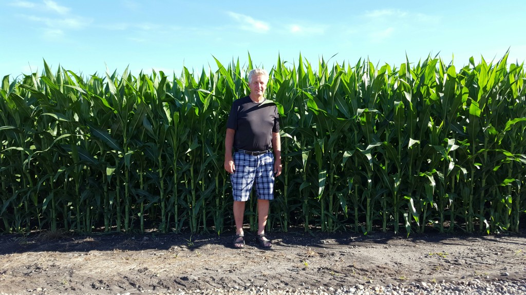 Daryl in corn field